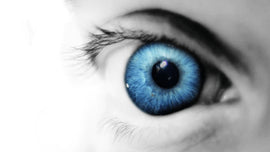 Warum professionelle Textilpflege?